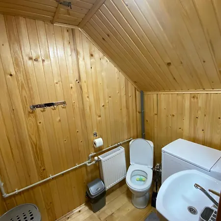 Hutsulka House Διαμέρισμα *